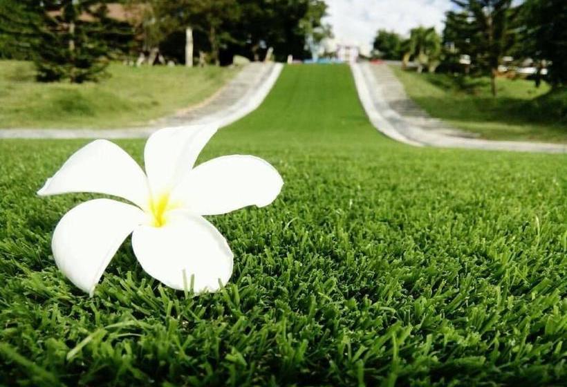 Resort Tonsilp Art Home 14