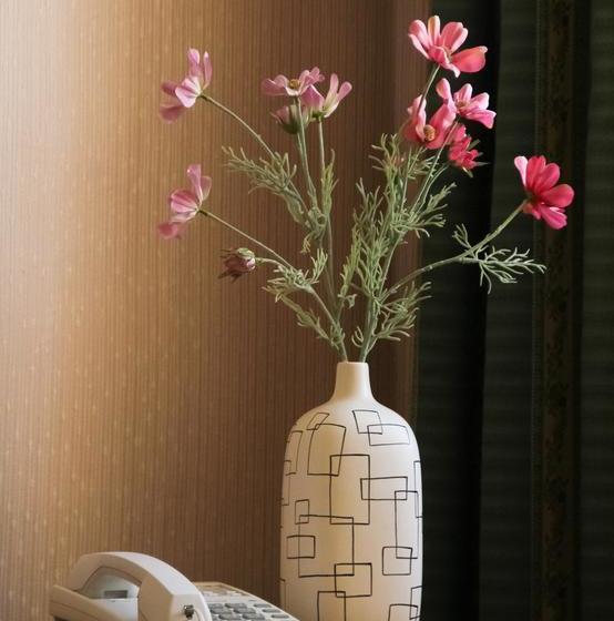 Equator Hotel Samara 9