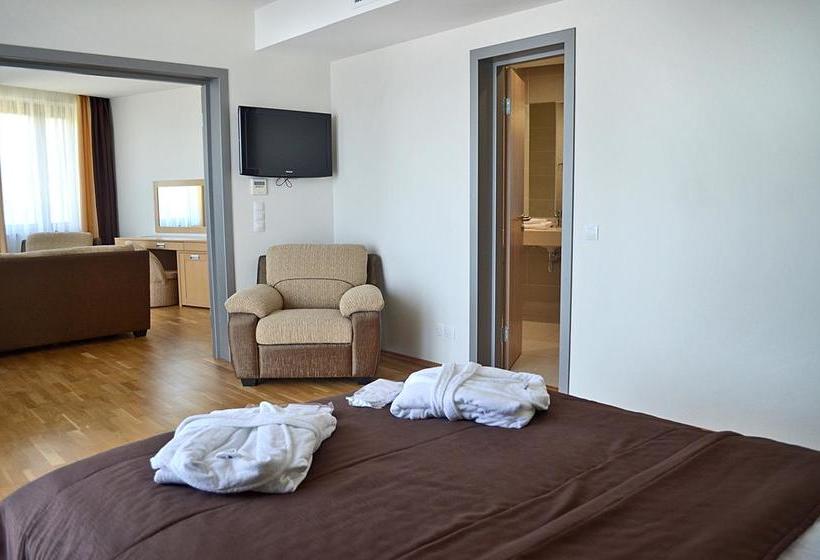 Hotel Diana Palace 16