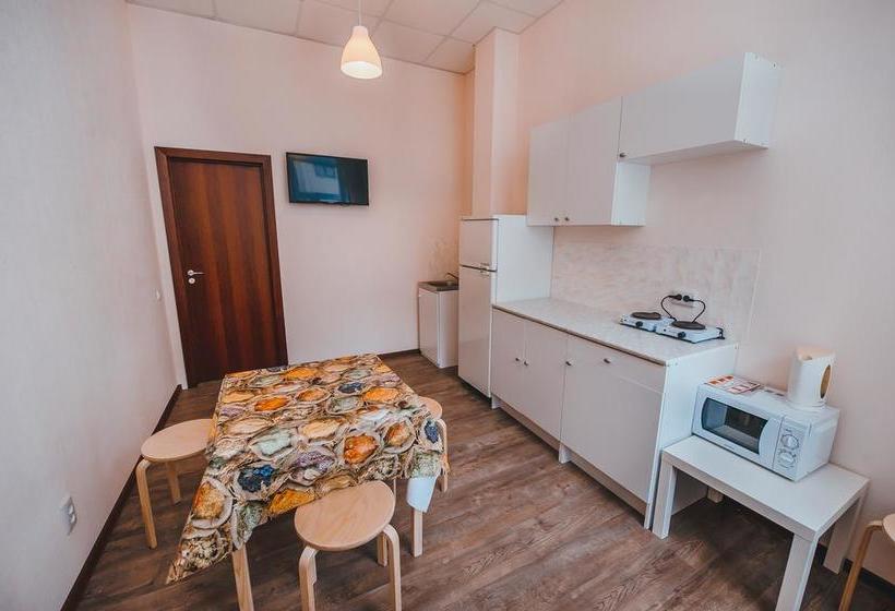 Luxury Apartments On Nevsky 22 1