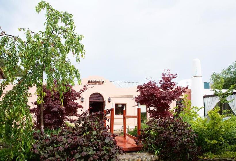 Hotel Alean Family Resort & SPA Riviera 9