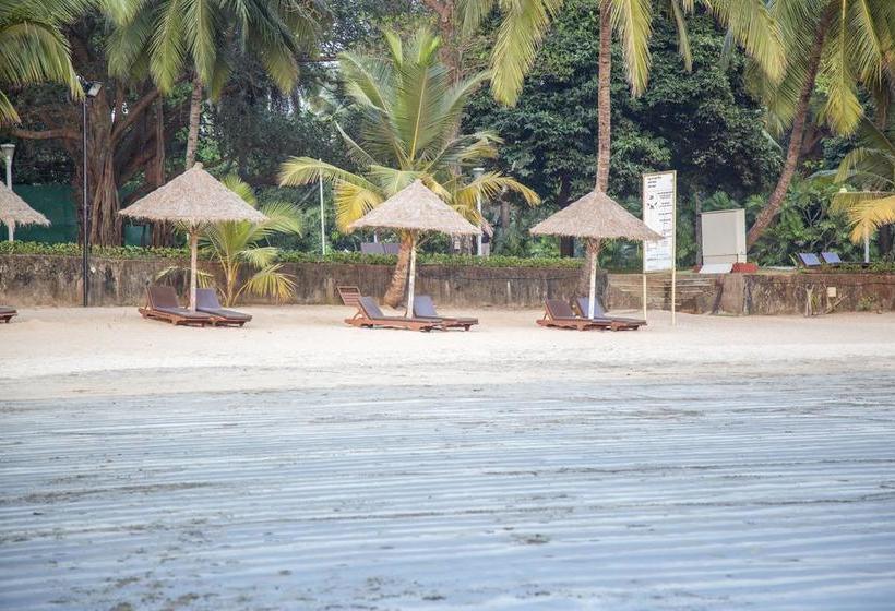 Rendezvous Beach Resort 15