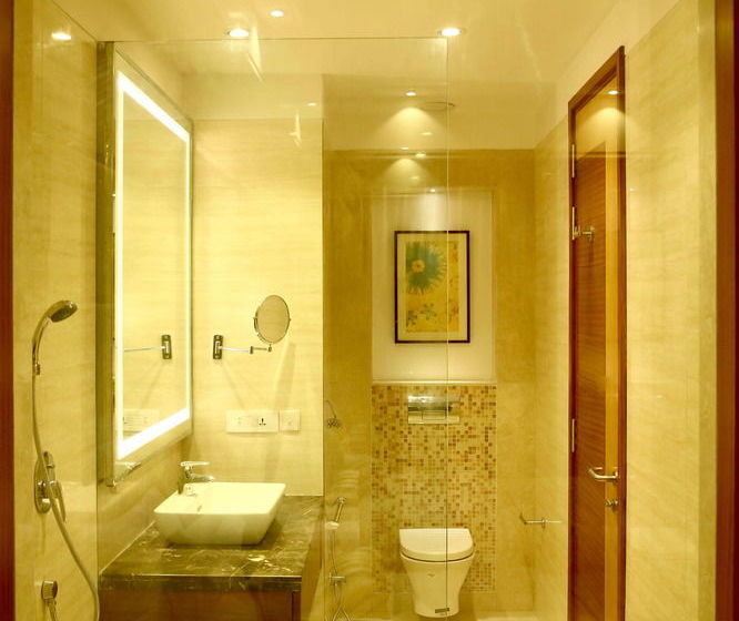 Hotel P L Palace Lords Inn 12