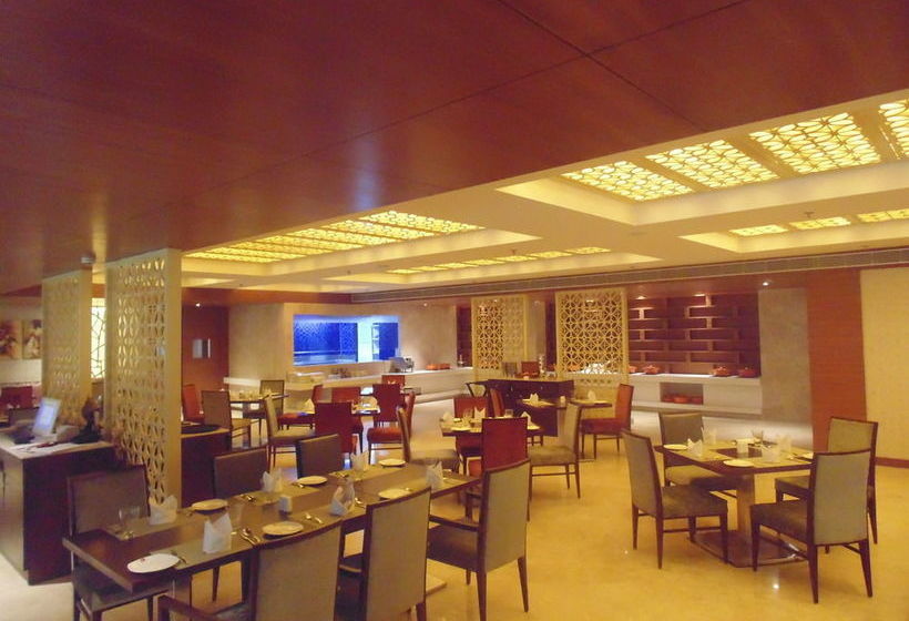 Hotel P L Palace Lords Inn 17