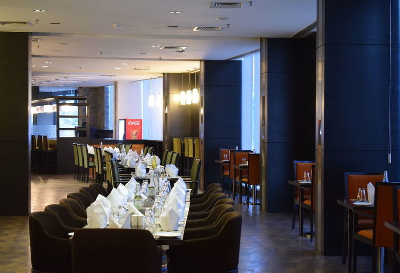 Hotel Misaki Manesar 18