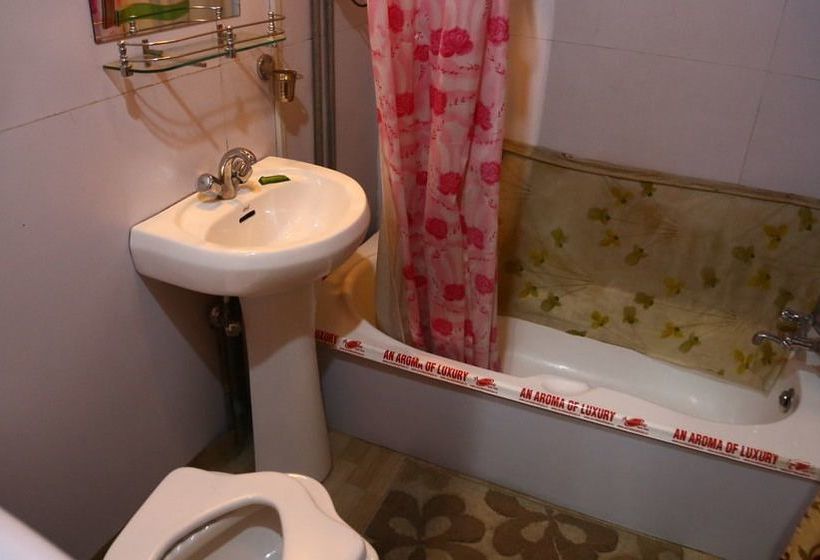 Hotel Aziz Palace Group Of Houseboats 15