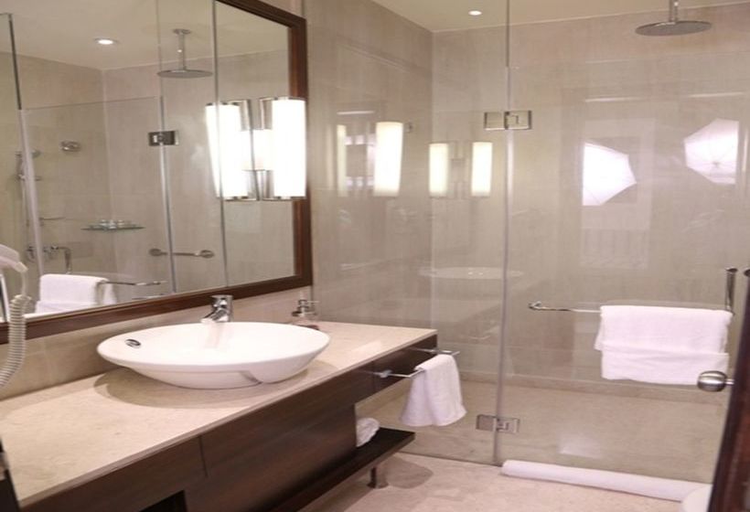 Hotel Seyfert Sarovar Portico 13