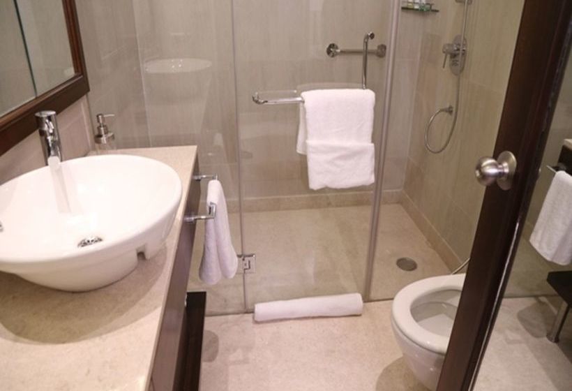 Hotel Seyfert Sarovar Portico 15