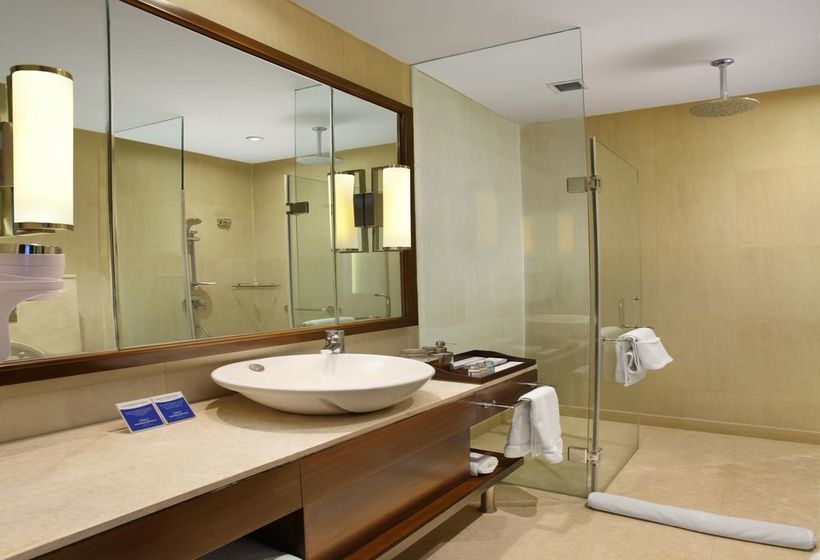 Hotel Seyfert Sarovar Portico 16