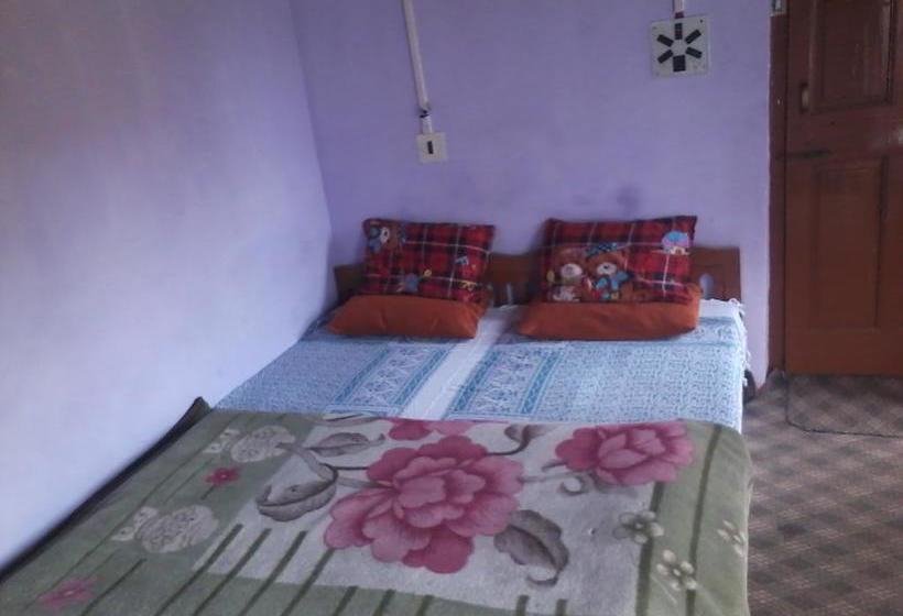 Hotel Paradise Inn 17