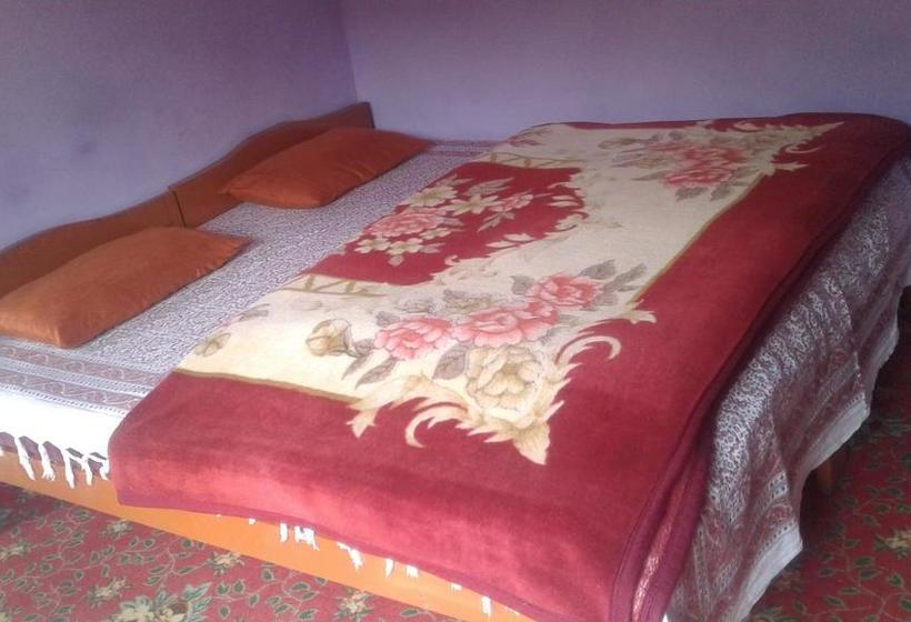 Hotel Paradise Inn 18