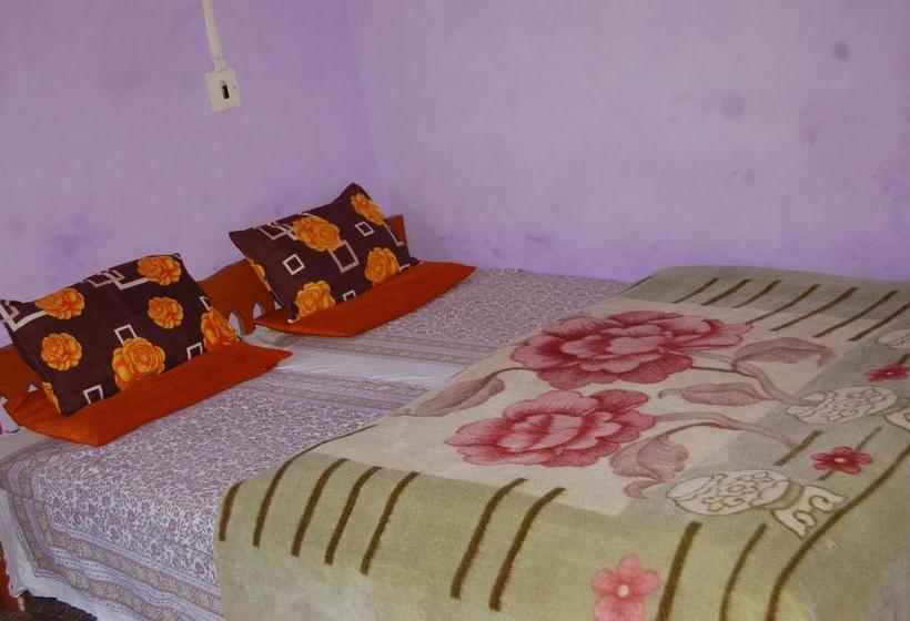 Hotel Paradise Inn 9