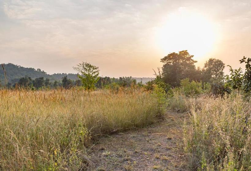 Hotel Kings Lodge 10