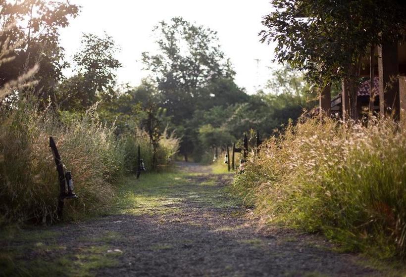 Hotel Kings Lodge 17