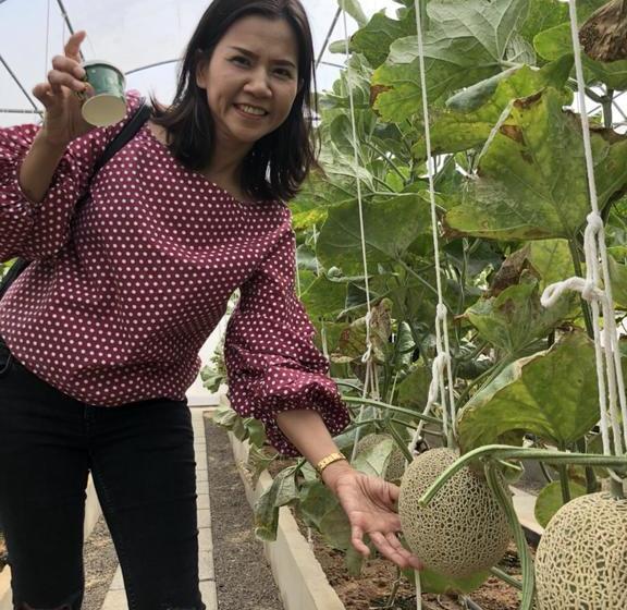 Taksina Garden Resort 2