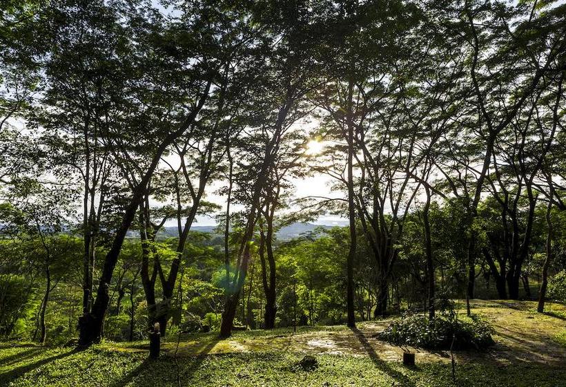 Resort Village Farm And Winery 10