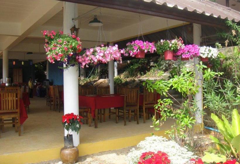 Resort Greenway Forest View 10