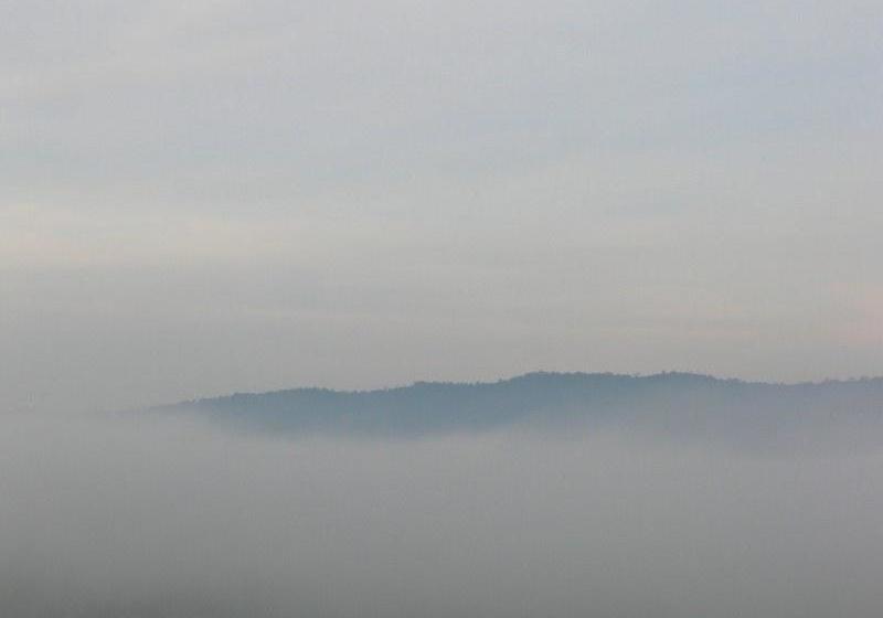 Resort Greenway Forest View 6