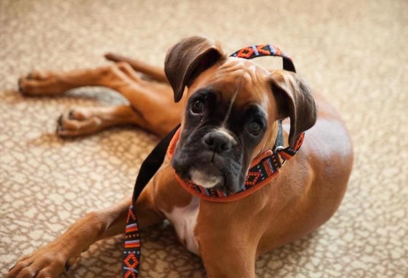 Seehotel Suedhorn 20