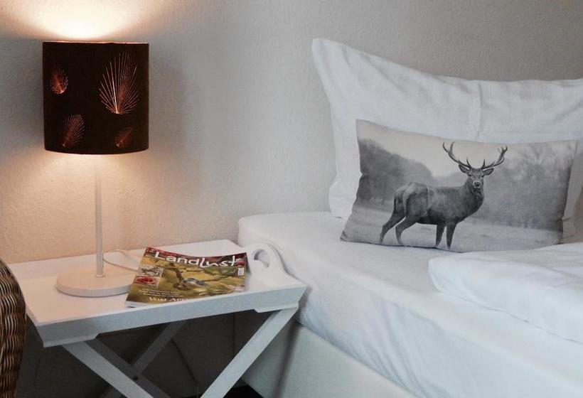 Hotel Big Country House 12