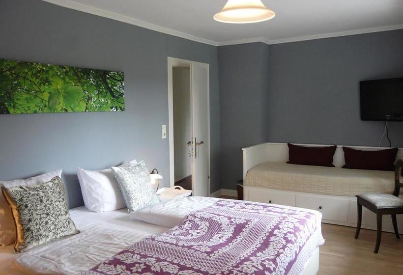 Hotel Big Country House 2