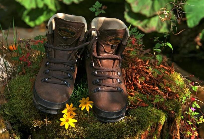 Angelikas Hotel Garnis 18