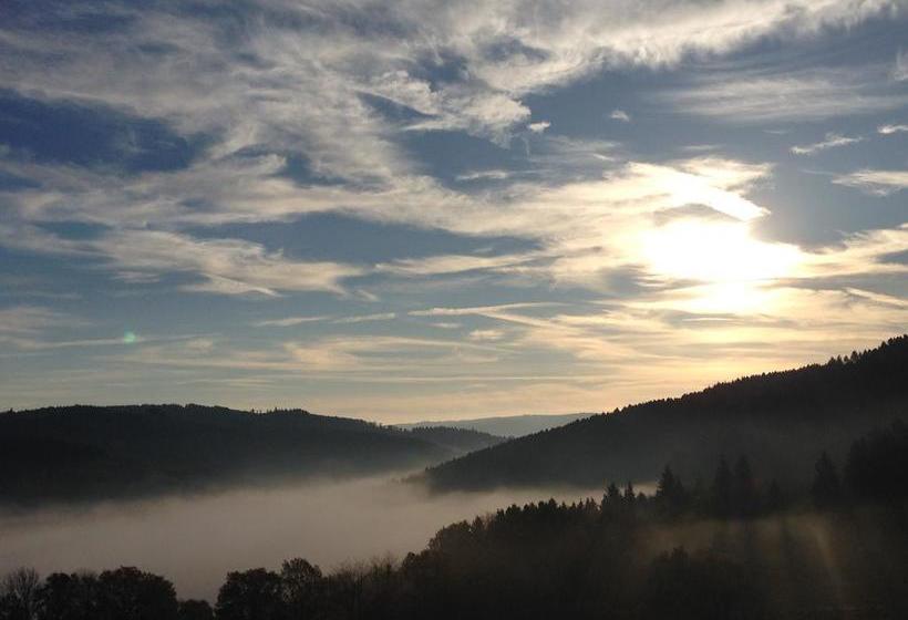 Bed & Breakfast Waldhaus Rose Schmallenberg Renania del Norte Westfalia