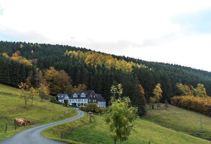 Bed & Breakfast Waldhaus Rose 16