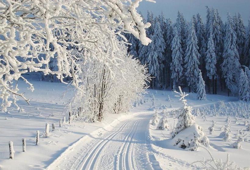 Bed & Breakfast Waldhaus Rose 18