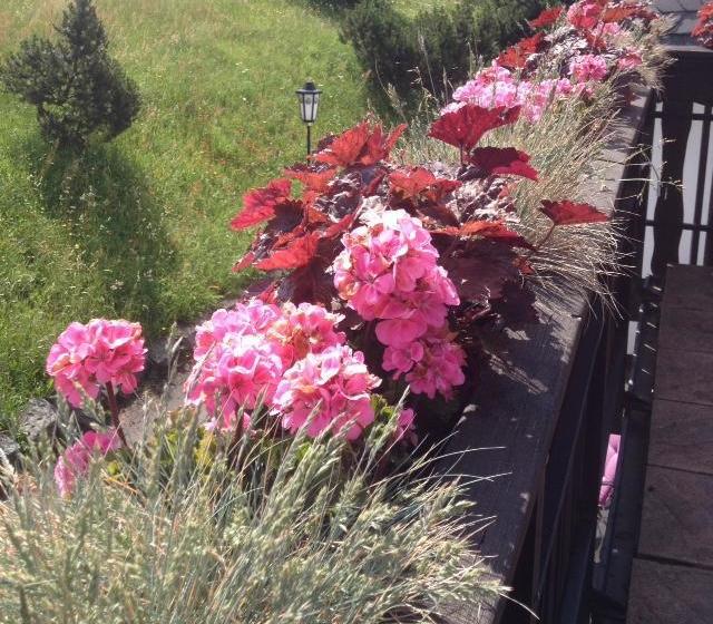 Berghotel Lenneplätze Winterberg 17