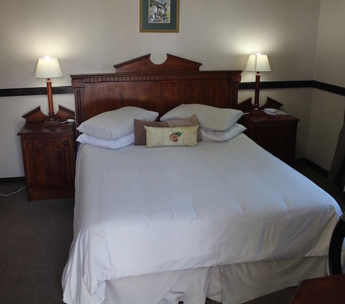 Bed and Breakfast Victorian Lodge 1