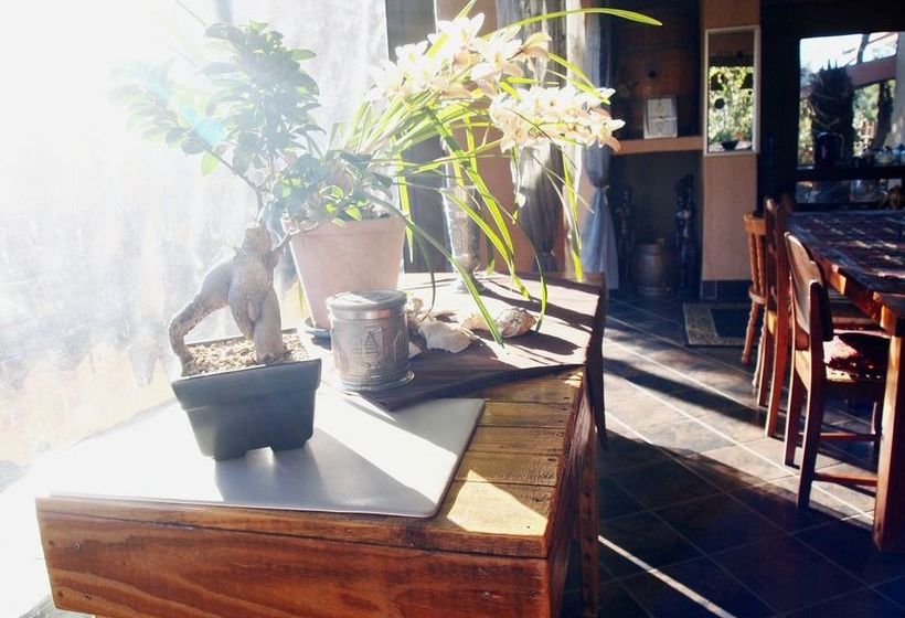 Havana Nights Graskop 1