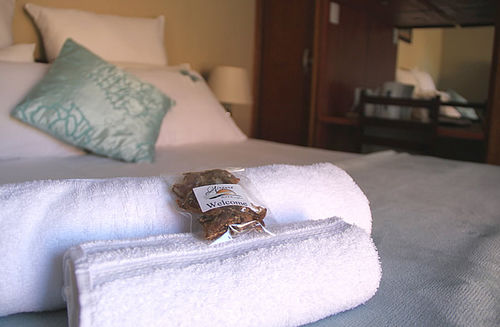 Pension Airport Bed And Breakfast 6