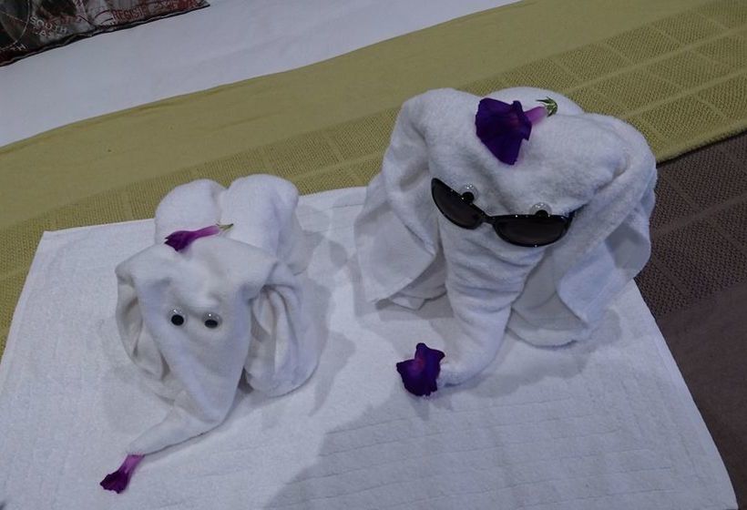 Pension Two Fat Owls Guesthouse 17