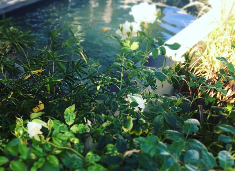 Pension De Companjie 13