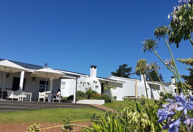 Paul Wallace Wines And Guest Cottages 17