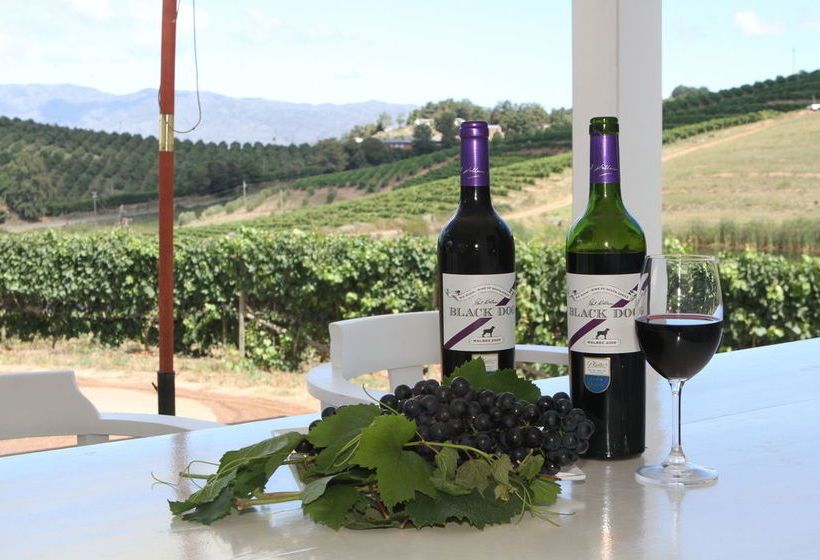 Paul Wallace Wines And Guest Cottages 19