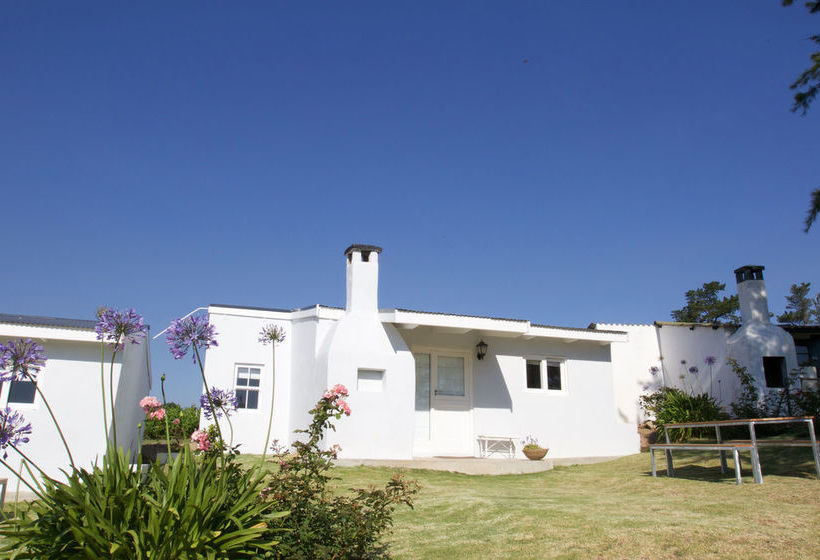 Paul Wallace Wines And Guest Cottages 20