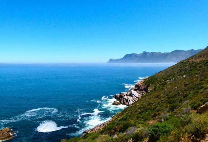 Hotel Moonstruck On Pringle Bay Guesthouse 16