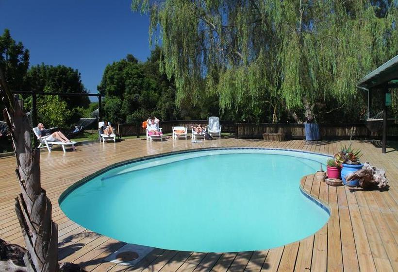 Hotel Tube 'n Axe Accommodation Eastern Cape