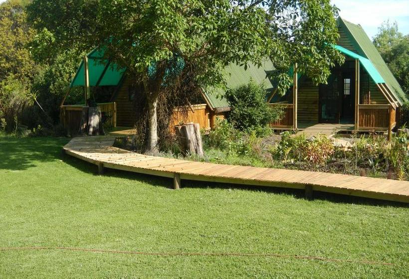 Hotel Tube 'n Axe Accommodation 17