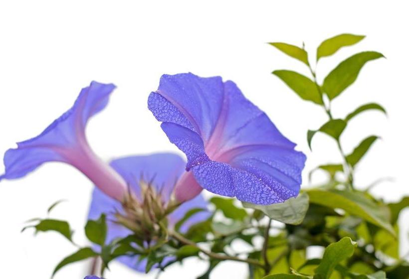 Hotel Tube 'n Axe Accommodation 18