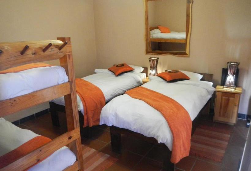 Hotel Tube 'n Axe Accommodation 19