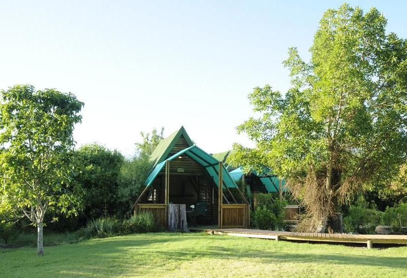 Hotel Tube 'n Axe Accommodation 2