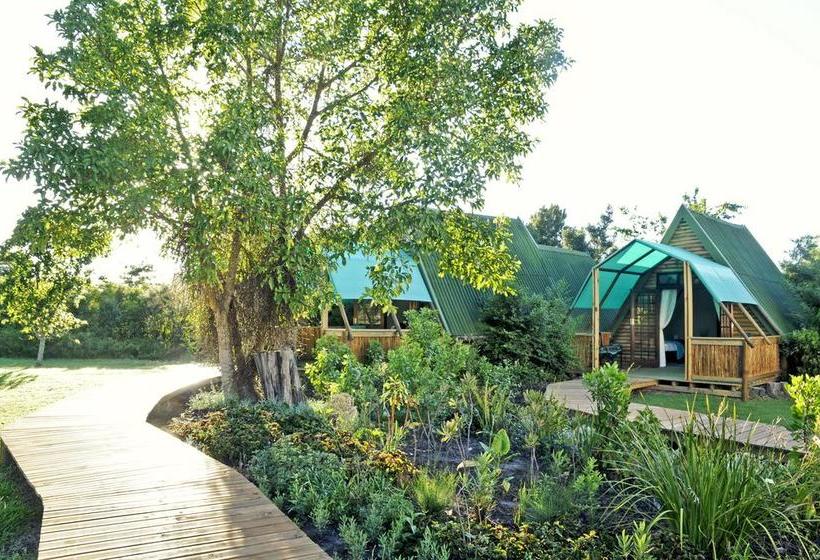 Hotel Tube 'n Axe Accommodation 20