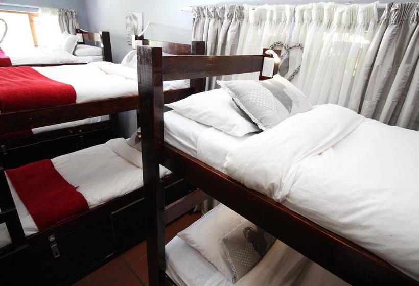 Hotel Tube 'n Axe Accommodation 8