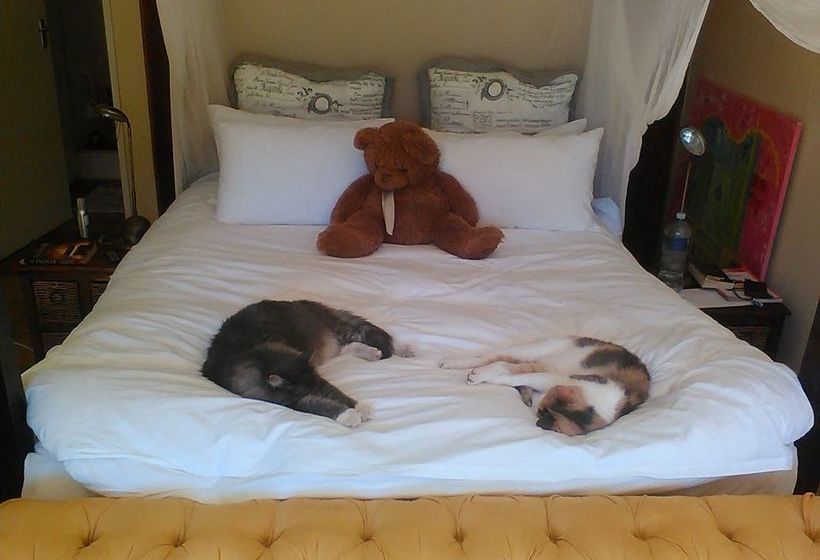 Hotel Goblins Creek 7