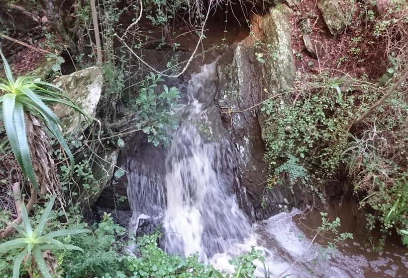 Hotel Dolphin View Guesthouse