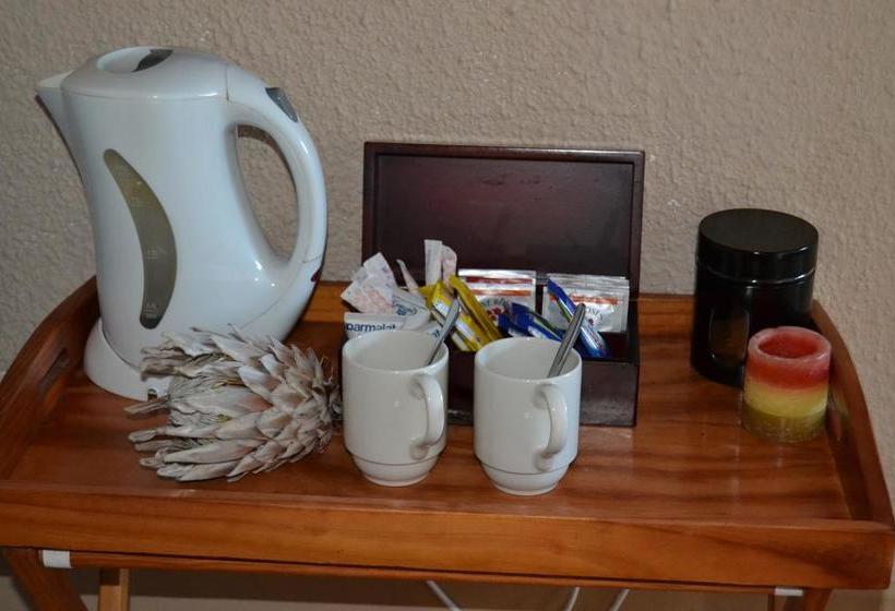 Hotel Dolphin View Guesthouse 3