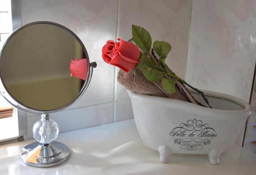 Hotel Dolphin View Guesthouse 5